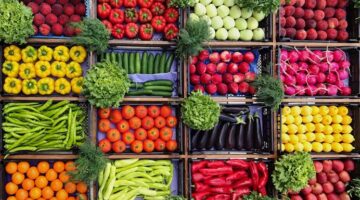 أسعار الخضراوات والفاكهة اليوم الثلاثاء 19مارس 2024