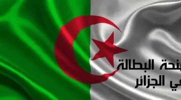 الوكالة الوطنية للتشغيل.. إليك خطوات تجديد التسجيل في منحة البطالة بالجزائر 2024